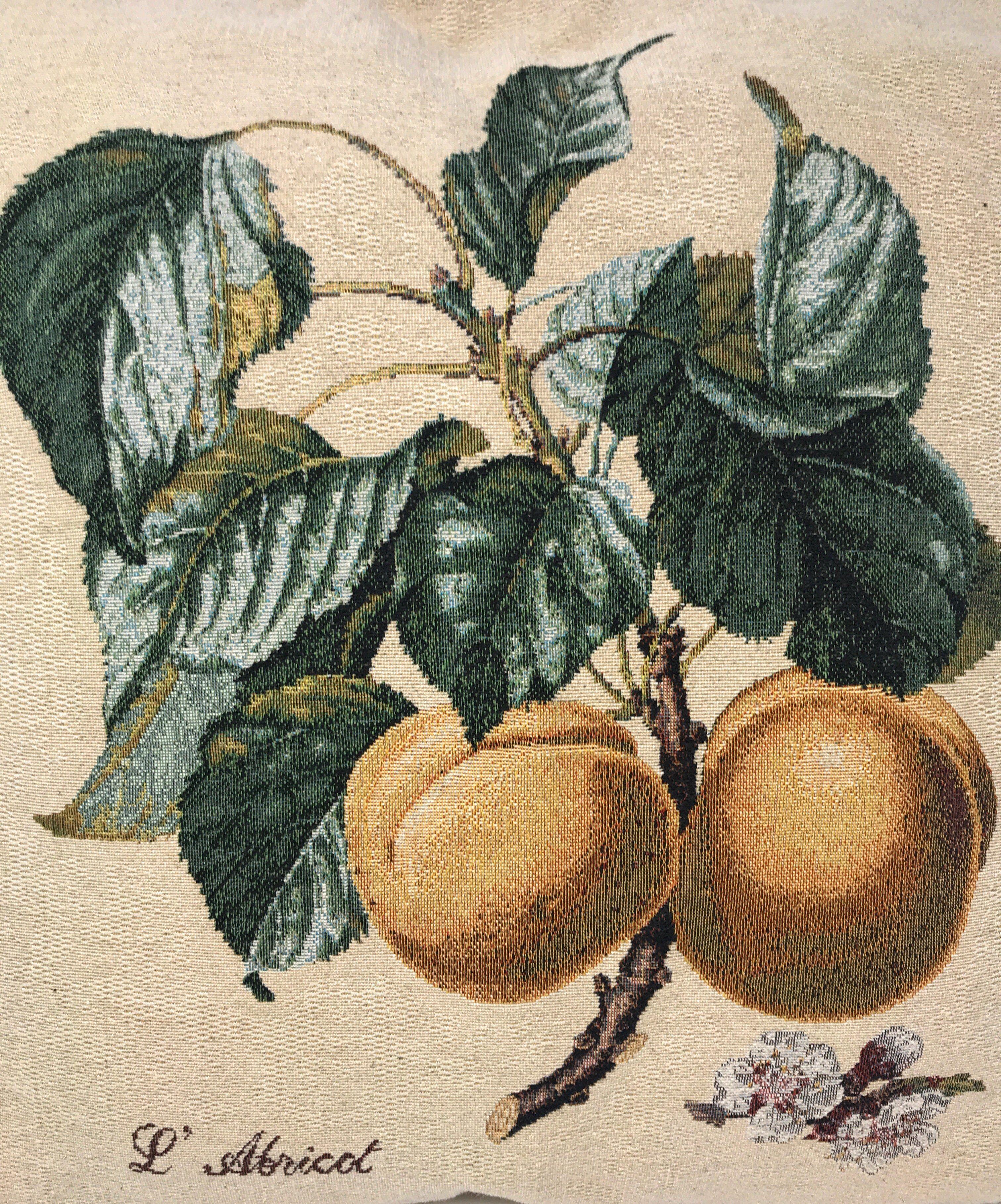 Set of 2-Pieces Yellow Apricot Fruits Elegant Tapestry Throw Pillow Covers w/ Inserts - 18" x 18"